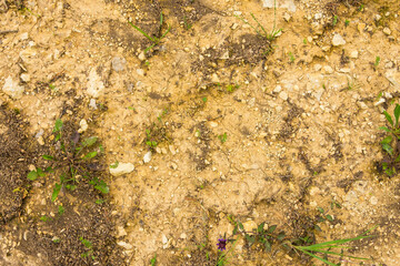 natural ground texture for background, wallpaper