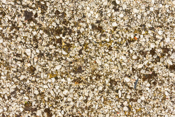 pebbles ground texture for background, wallpaper
