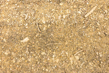 natural ground texture for background, wallpaper