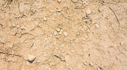 dry mud ground texture for background, wallpaper