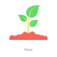Plant