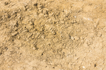 dry mud ground texture for background, wallpaper