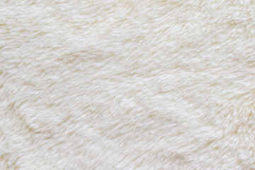 Cream white wool texture, abstract fur background