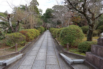 Autumn in Kyoto : a scene of the access to the precincts of Kosho-ji Temple 京都の秋：興正寺境内へ至る参道・維新の道の風景　