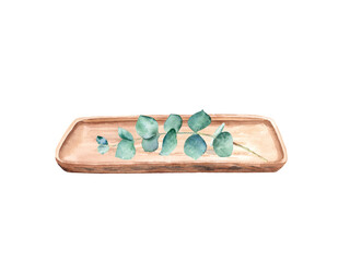 Eucalyptus branch on wooden tray. Watercolor hand drawn botanical illustration isolated on white background. Eco minimalistic style for posters, web design.