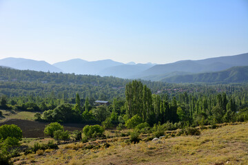 mountain range with green trees in the dawn and blue sky on background