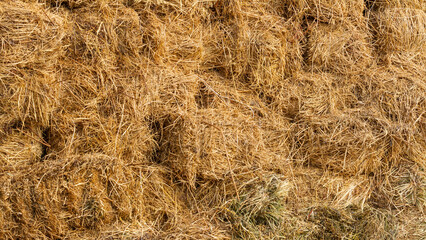 Dry hay for feed of farm animals stored in the barn on the farm. Straw background