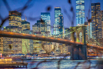 The Brooklyn Bridge and Downtown Manhattan night lights from behind the winter trees