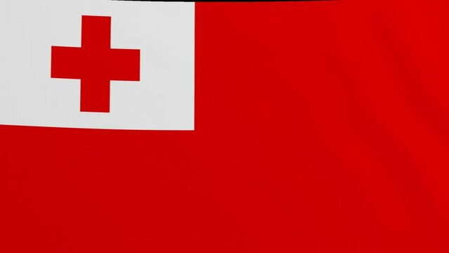 Tonga Single flag waving in the wind with high quality with transparent background