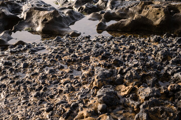 Puddles of salt water on the shore of a rocky beach, yellow and black, at sunrise. Tenerife, Canary Islands, Spain