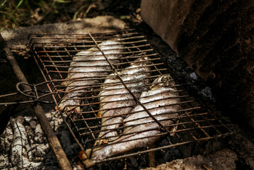 grilled fish on a fire on a barbecue at a picnic, grilled food on a grill 1
