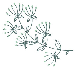Hand drawn botany. Decorative floral print element