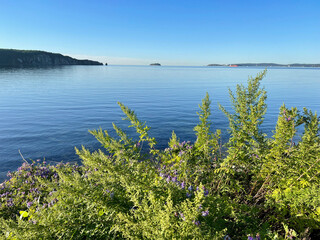 Patroclus (Patrokl) Bay in Vladivostok in summer morning