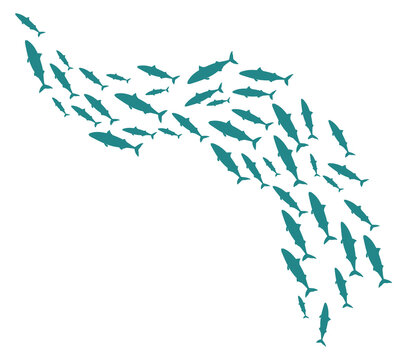 Fish schooling curve. Underwater life. Marine ecosystem