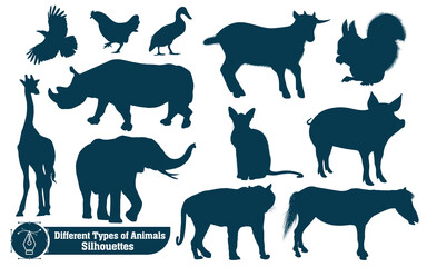 Collection of  Animals silhouettes Vector