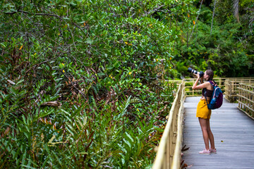 Naklejka na ściany i meble girl photographer looks out for animals while walking in manuel antonio national park near quepos, Costa Rica; wildlife photography in Costa Rican rainforests