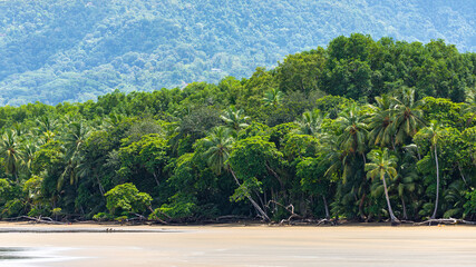 panorama of a tropical beach with palm trees in marino ballena national park in costa rica; relaxing on a paradise beach in costa rica, beach with cloudy mountains in background