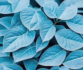 Obraz premium blue leaves background 