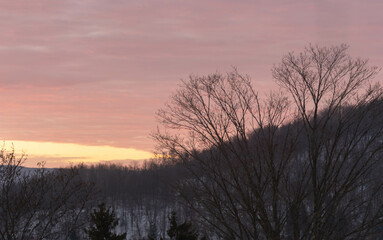 Tree branches in silhouette on rising sunlight sky background during winter weather season