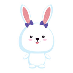 Obraz na płótnie Canvas cute rabbit animal
