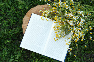 Open book and chamomiles on wooden stump outdoors, flat lay
