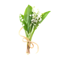  Bouquet of white flowers lilies of the valley isolated in PNG isolated on transparent background © Pavlo Vakhrushev