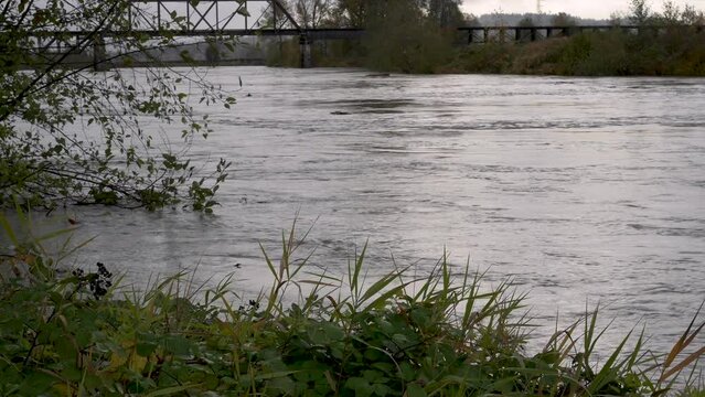 Close up of swift flowing water of Snohomish River near flood stage, Washington.