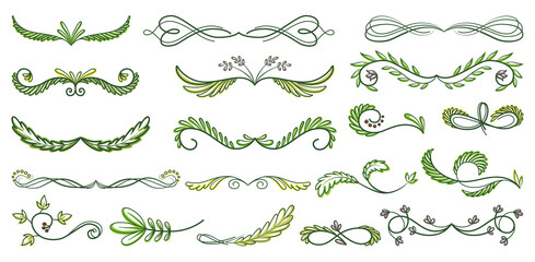 Green text dividers, page separators design set. Line borders, laurels, organic frame with plant. Floral decorative elements. Natural flourishes, curve lines collection isolated on white