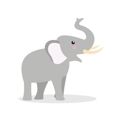 baby elephant on a white background