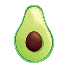 fresh avocado vegetable