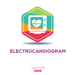 Fototapeta premium Creative (Electrocardiogram) Icon, Vector sign.