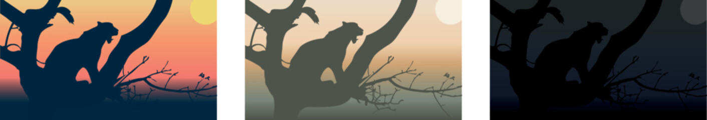 Leopard on the tree watching the sunrise. Vector illustration. 