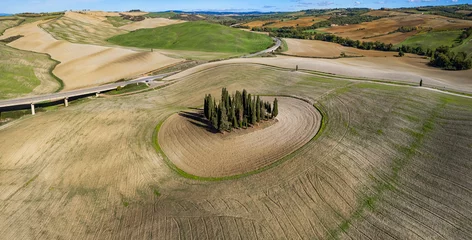 Foto op Aluminium Italy landscape. Amazing Tuscany scenery. Typical countryside with vast fields of Val d'Orcia famous beautiful valley. Aerial drone shot of circle cypresses trees, high angle view © Freesurf