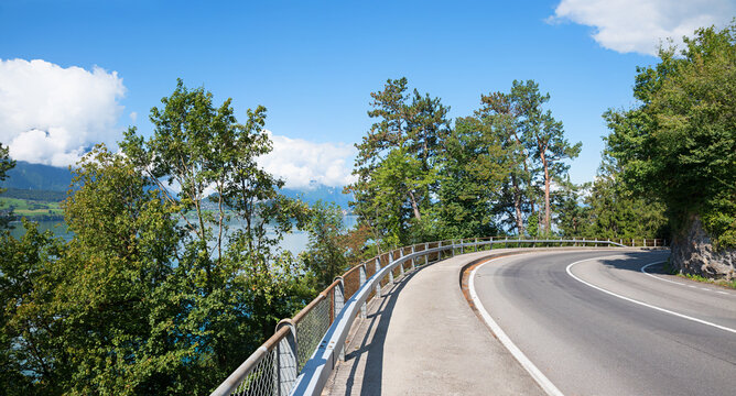curvy road along lake Thunersee, trees beside. blue sky with clouds. Swiss landscape.