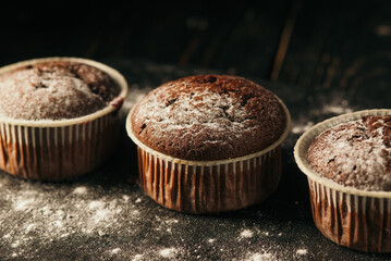 Chocolate muffins with powdered sugar on a black background. Still life close up. Dark moody. Food photo.