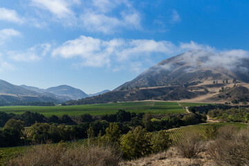 Fototapeta na wymiar Vineyards, mountains, and clearing fog in Salinas Valley, California