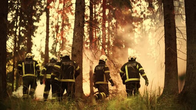 Team of Five Capable Firemen Moving Through the Forest to the Wildfire Source Deep in the Woods. Wildland Fire Concept About California, USA, South America, Canada, Spain and Other Affected Countries.