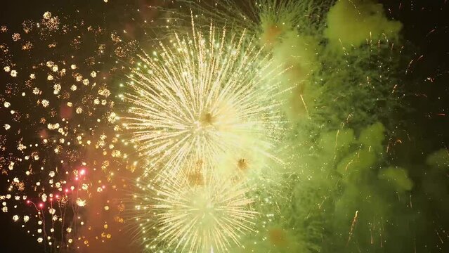 fireworks celebrate new year