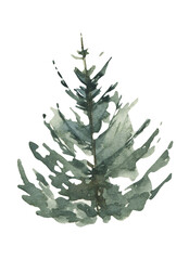 Watercolor Christmas tree clipart. 