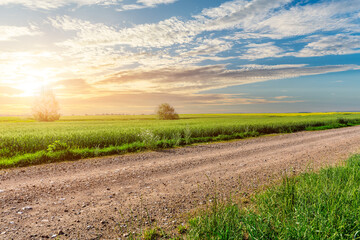 Fototapeta na wymiar Country road and green wheat fields natural scenery at sunrise