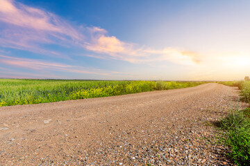 Country road and green wheat fields natural scenery at sunset - obrazy, fototapety, plakaty