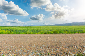 Country road and green wheat fields natural scenery