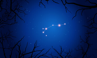 Vector illustration Dorado constellation. Tree branches, dark blue starry sky, cosmos. Illustration of constellation scheme Dorado, gold fish © iryna