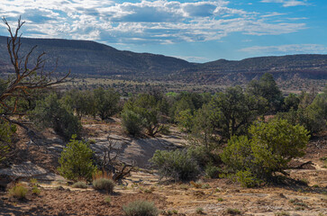 scenic view of Comb Ridge from Butler Wash Ruins Trailhead (San Juan county, Utah)