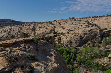 Fototapeta na wymiar canyon scenic view from Butler Wash ruin trail (San Juan county, Utah)