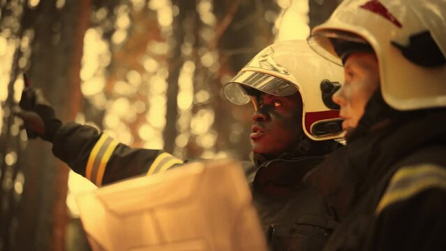 Professional Firefighters Extinguishing Forest Fire: Female Superintendent Talking with African American Squad Leader, Using Laptop Computer Near Wildfire, Discussing the Situation. Close Up Shot.
