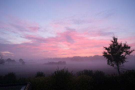 Glühen Bilder Durchsuchen 104,412 Archivfotos, und