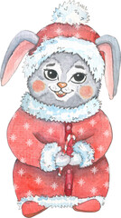 Cute funny Bunny in Christmas suit. Watercolor sketch.