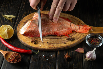 The cook prepares fresh Sebastes fish. Preparing to cook fish food. The chef cuts with knife a red fish before roast