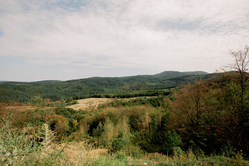 landscape in the mountains. Forest in Romania